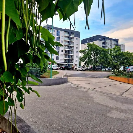 Magnolia Apartamento